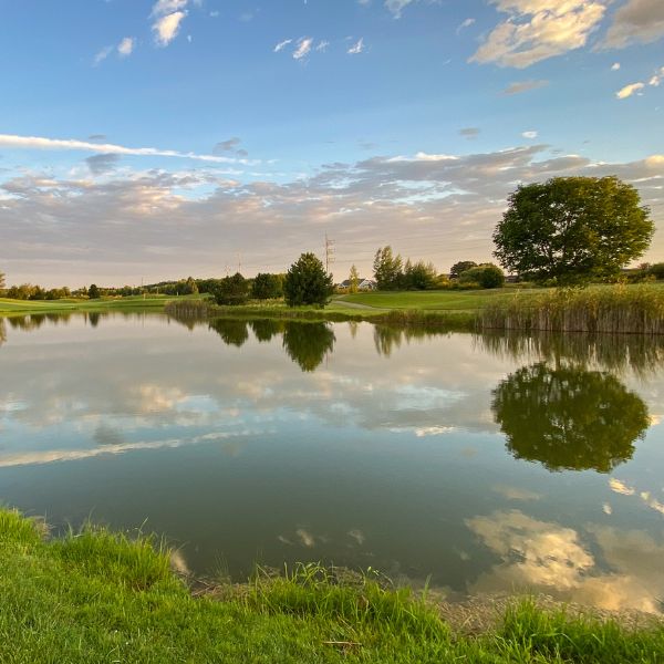 A pond surrounded by light green grass during sunset.