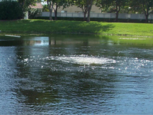 The Importance of Aeration in a Pond or Lake: Ensuring the Right Fit for Your Water Body