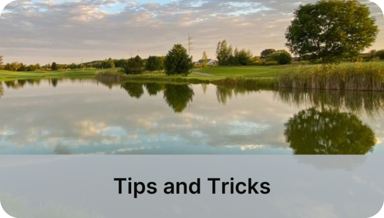 Button for Tips and Tricks category