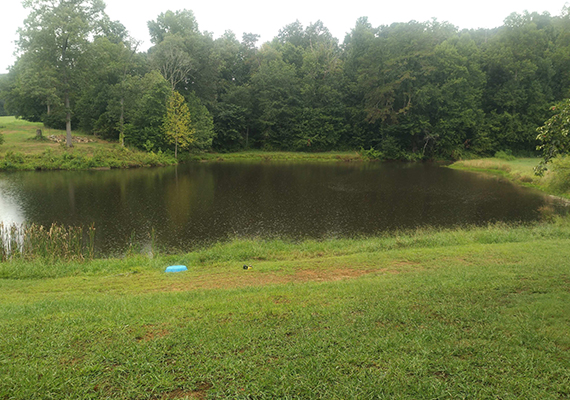 Pond After Treatment and Aeration