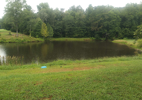 Pond Repairs and Services Tennessee