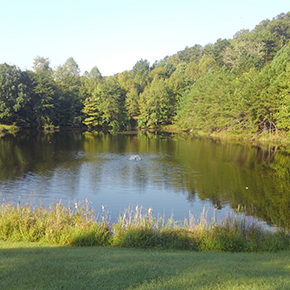 After Country Home Pond Services Tennessee