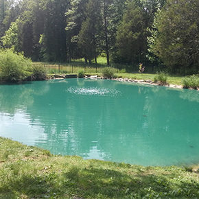 Residential Pond Aeration Tennessee