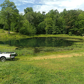 Farm Pond Before