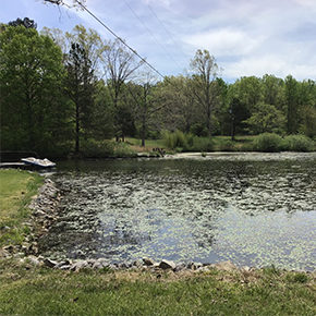 Before Residential Pond Repair Tennessee