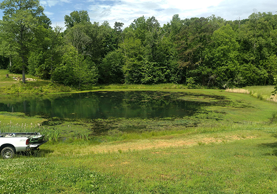 Pond Before Treatment and Aeration