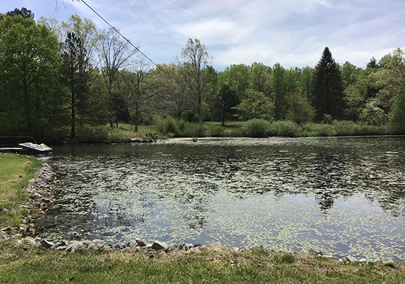 Pond Construction and Aeration Tennessee