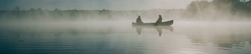 Lake Weed Treatment Tennessee